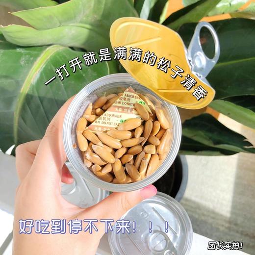 【 网红美食•巴西松子】 精品大颗粒 壳薄肉脆 易剥 营养丰富 新货松子 抖音快手热卖罐大颗粒 原味手剥松子 商品图1