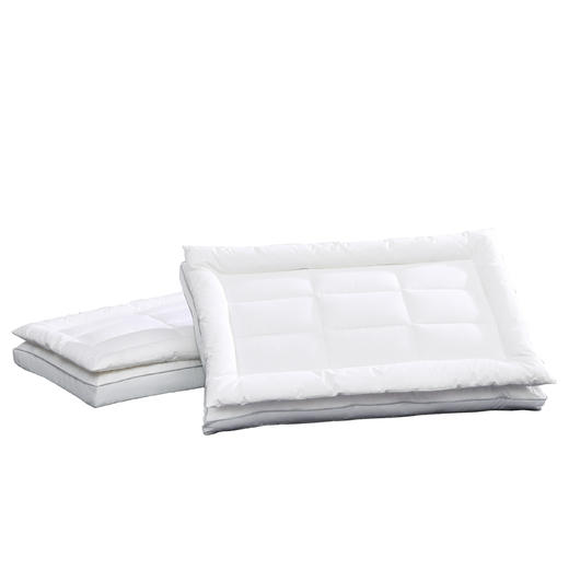 四季尊享鹅绒复合枕-HS 商品图0