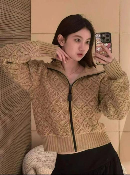 驴家 25秋冬新款 立体提花拉链帽衫（TM） 商品图0