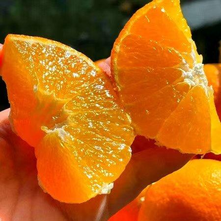 贵州安顺贵安【果冻橙38号爱媛果冻橙】25年新上市爆甜多汁可以吸的橙子 商品图4