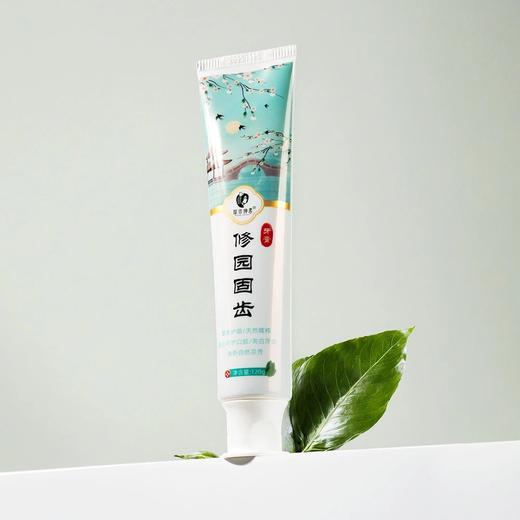 骨碎补草本护齿牙膏 商品图1