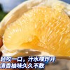 8.5斤装【葡萄柚】福建漳州产地，手剥爆汁的葡萄柚，晶莹的果肉蓄满了汁水，柔嫩的入口即化，滋味清甜，只为口感佳的时候上架，乍一看像橙子，却颗粒分明，散发着柚子幽香~ 商品缩略图1