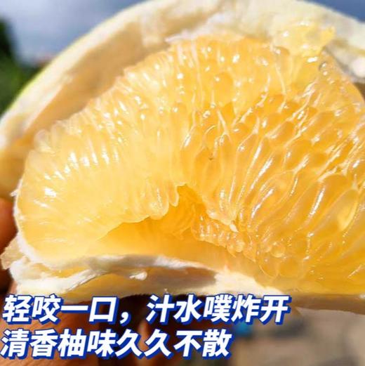 8.5斤装【葡萄柚】福建漳州产地，手剥爆汁的葡萄柚，晶莹的果肉蓄满了汁水，柔嫩的入口即化，滋味清甜，只为口感佳的时候上架，乍一看像橙子，却颗粒分明，散发着柚子幽香~ 商品图1