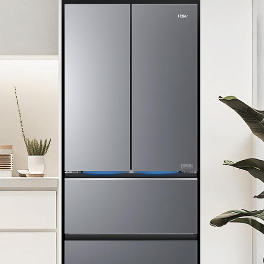 海尔（Haier）冰箱 BCD-550WGHFD1CLJU1 商品图4