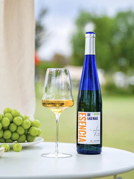 西班牙有机认证半甜白葡萄酒 香气女王莫斯卡托3分甜7分酸 冰镇后像咬开一颗爆汁柠檬柚基地直邮 商品图1