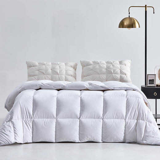 多喜爱 金羽朵95进口白鹅绒冬被酥白 【波兰进口白鹅绒】【95%绒子含量】【1000+清洁度】【80支全棉面料】【3D航空舱设计】【高档皮包】三重锁绒工艺  A类品质标准 10cm检测口 商品图9