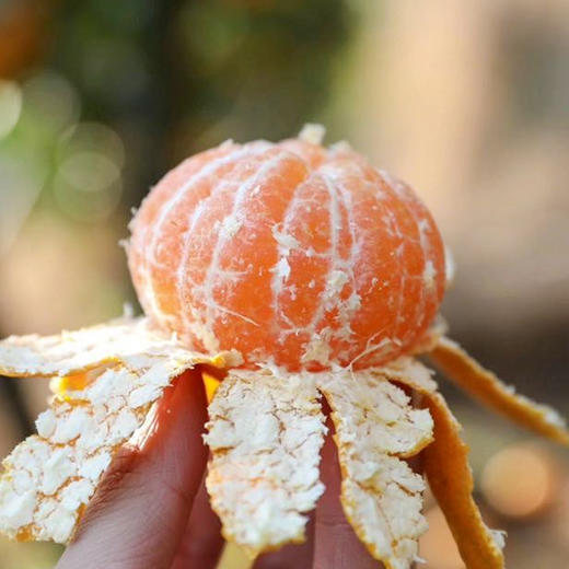 【斌哥优选】临海涌泉蜜橘，发顺丰！近乎纯甜，无核无渣，一口爆汁，橘子届的天花板。 商品图6