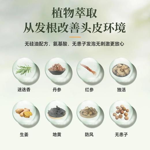 草木坤柔迷迭香红参养发洗发水 商品图2