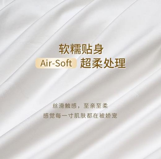 6F堂皇 独家周年庆提前购 鸿运家桑蚕丝春秋被  售完即止不补货 商品图1