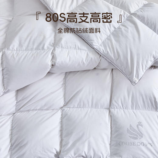 多喜爱 金羽朵95进口白鹅绒冬被酥白 【波兰进口白鹅绒】【95%绒子含量】【1000+清洁度】【80支全棉面料】【3D航空舱设计】【高档皮包】三重锁绒工艺  A类品质标准 10cm检测口 商品图3