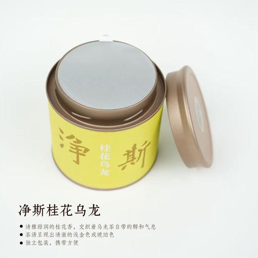净斯桂花乌龙茶袋泡茶罐装2.5g*16包 商品图2