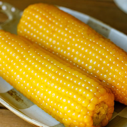 朴食有方 东北黄金甜糯玉米棒 真空锁鲜口感软糯清甜饱腹早餐代餐 商品图3