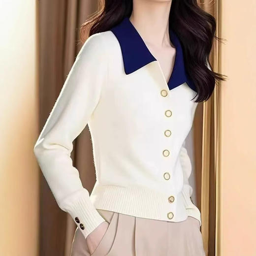 秋冬新拼色翻领单排扣长袖针织开衫毛衣T1B19-A2804040 商品图3