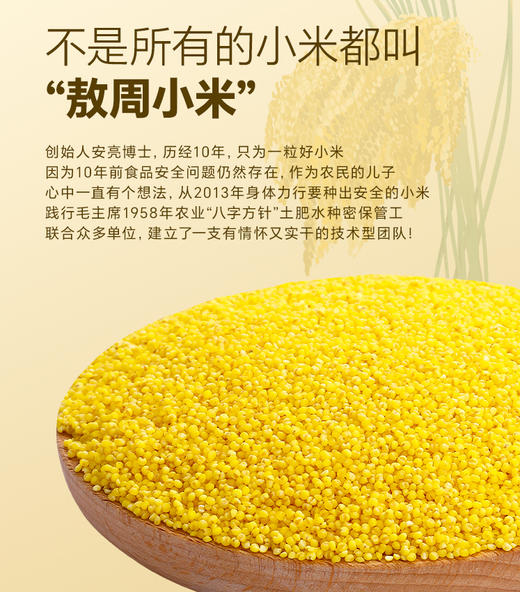 内蒙古敖汉有机小米 商品图1