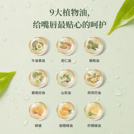 草木坤柔植物滋养润唇膏 商品图2
