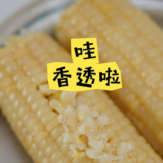 小时候的味道【内蒙敖汉非转基因香糯玉米】 0 农残！ 0化肥！ 0防腐 ！0添加！优质品种 甜糯口感 5小时鲜制 营养型好玉米 香甜口感  软嫩弹牙内蒙沙土地有机种 商品图10
