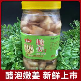 新鲜嫩姜现挖现泡的糖醋泡姜2斤装