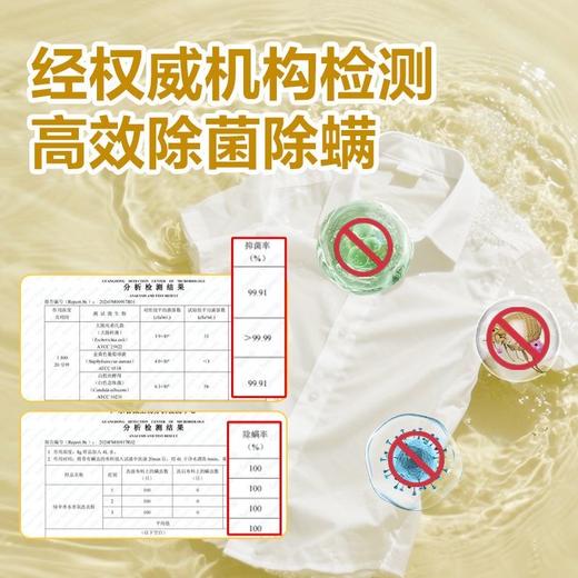 绿伞洗衣粉10斤大袋山茶花香香水香氛柔顺持久留香除菌新款 商品图4