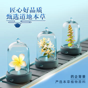 王老吉凉茶250ml*24盒绿盒装 植物草本降火饮料 送礼装 （新老随机发） 商品图1