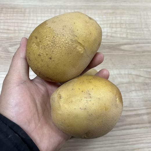 丨有机丨 内蒙高原土豆 5斤/箱 商品图1