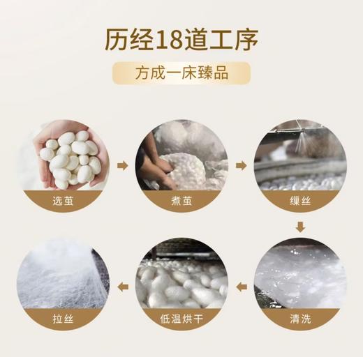 6F堂皇 独家周年庆提前购 鸿运家桑蚕丝春秋被  售完即止不补货 商品图3