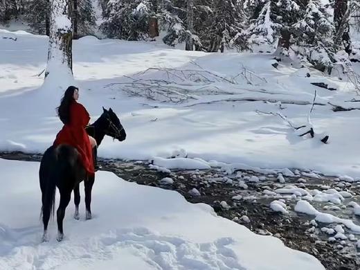 雪境牧歌（野奢线） | 阿勒泰野奢 越野车轻旅拍小团 禾木喀纳斯新疆度假7日之旅 商品图4