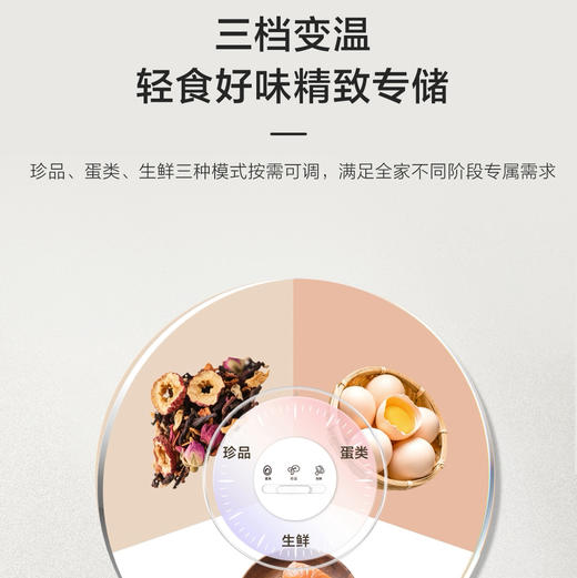 海尔（Haier）冰箱 BCD-550WGHFD1CLJU1 商品图13