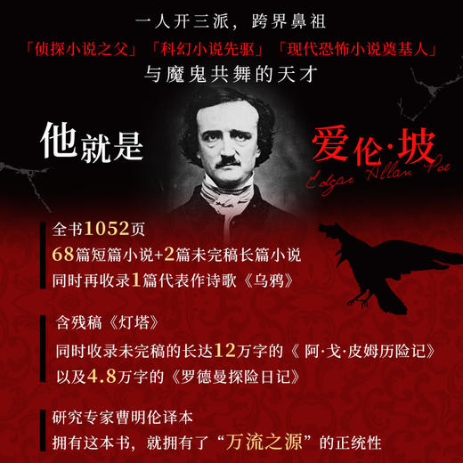 乌鸦：幽冥之羽（WX） 商品图3