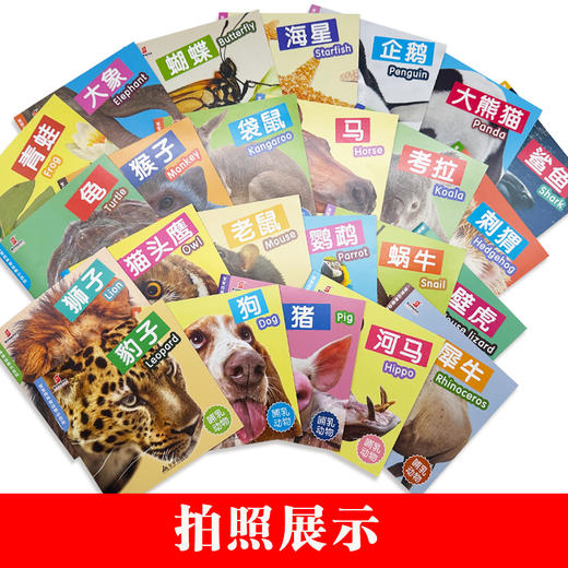 5套团【科普百科】宝宝的神奇动物小百科（全24册） 商品图1