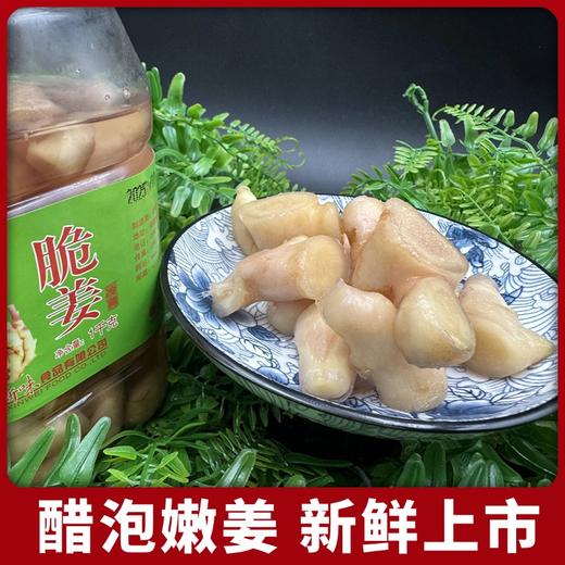 新鲜嫩姜现挖现泡的糖醋泡姜2斤装 商品图1