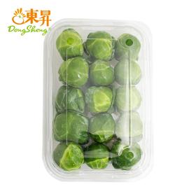 孢子甘蓝250g 新鲜小包菜卷心菜 爽脆清甜沙拉广东蔬菜新鲜配送