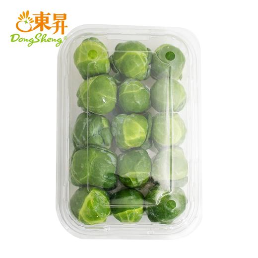 孢子甘蓝250g 新鲜小包菜卷心菜 爽脆清甜沙拉广东蔬菜新鲜配送 商品图0