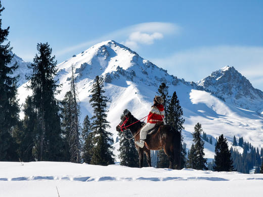 伊犁冬韵 | 雪原森林木屋 新疆赛里木湖 越野车轻旅拍小团 7日 商品图1