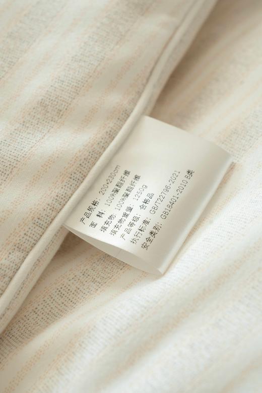SCHIESSER LIVING(春秋1250g/1400g)适合10-25度,适合5-15度 舒雅生活印花面料面料手感软糯 8跟被角带设计，固定被套不跑芯 整面绗缝设计，固定内芯不移位1206019 商品图9