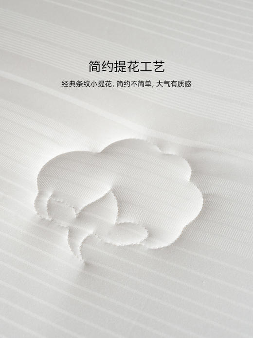 佳丽斯棉被冬加厚100纯棉新疆棉花被芯棉絮被子被褥冬用2025新款 商品图8