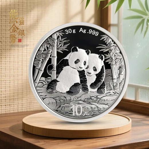 2026年熊猫银币30克！缩量500万枚！ 商品图1