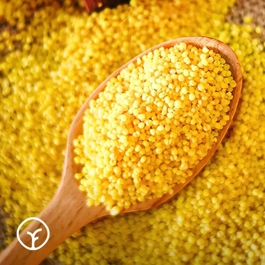 敖汉有机小米500g 商品图2