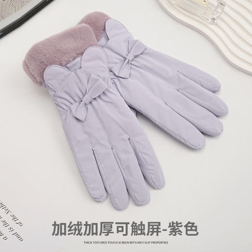 新款时尚简约保暖手套女冬季加绒加厚可触屏防滑防水滑雪手套批发 商品图7