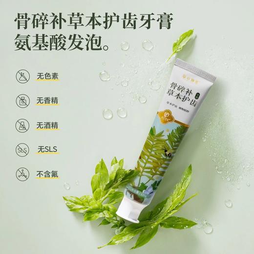 骨碎补草本护齿牙膏 商品图2