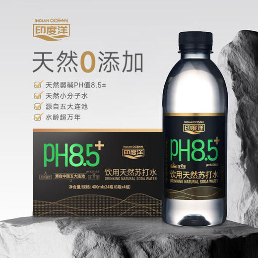 印度洋天然苏打水400ml*24（整箱装） 商品图0
