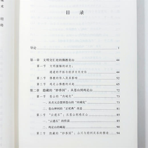 “共见之处”：大理鸡足山的多重世界(日新文库) 商品图11