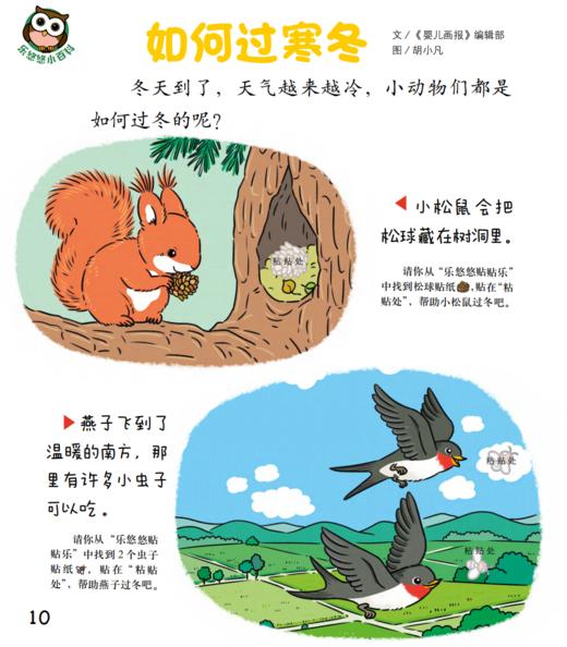 《婴儿画报》12期（共36本）征订 商品图7