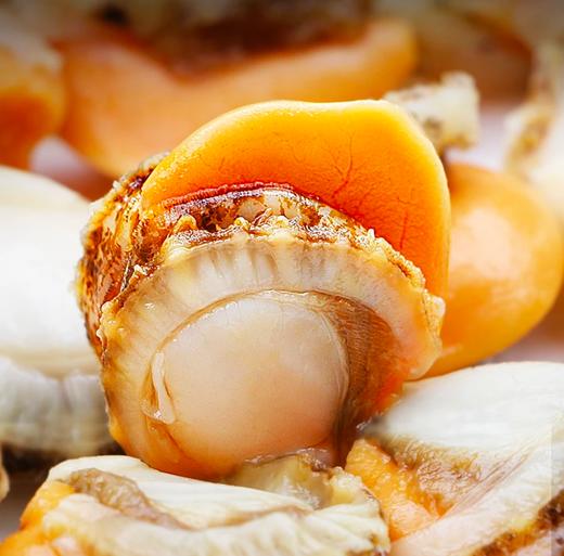 北海湾鲜剥扇贝肉 商品图1