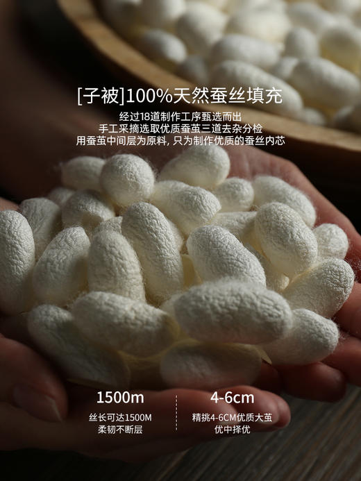 佳丽斯蚕丝羽绒子母被二合一拉链款冬被95白鹅绒被子被芯四季通用 商品图7