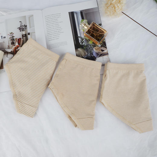 新疆彩棉女童儿童内裤 天然柔软三条装 商品图1