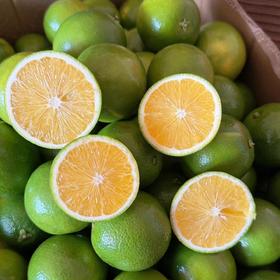 【云南高山哀牢山青皮冰糖橙】汁水丰盈 橙香浓郁