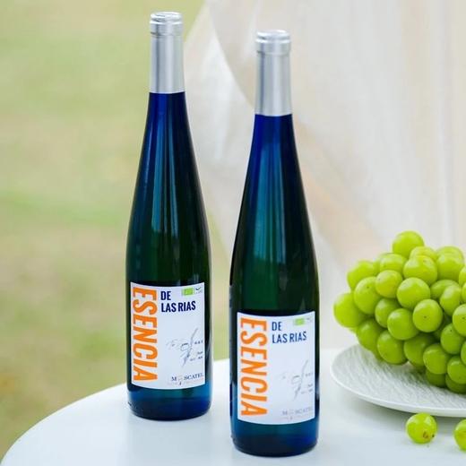 西班牙有机认证半甜白葡萄酒 香气女王莫斯卡托3分甜7分酸 冰镇后像咬开一颗爆汁柠檬柚基地直邮 商品图0