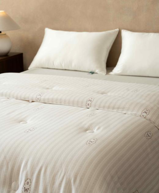 SCHIESSER LIVING(春秋1250g/1400g)适合10-25度,适合5-15度 舒雅生活印花面料面料手感软糯 8跟被角带设计，固定被套不跑芯 整面绗缝设计，固定内芯不移位1206019 商品图2