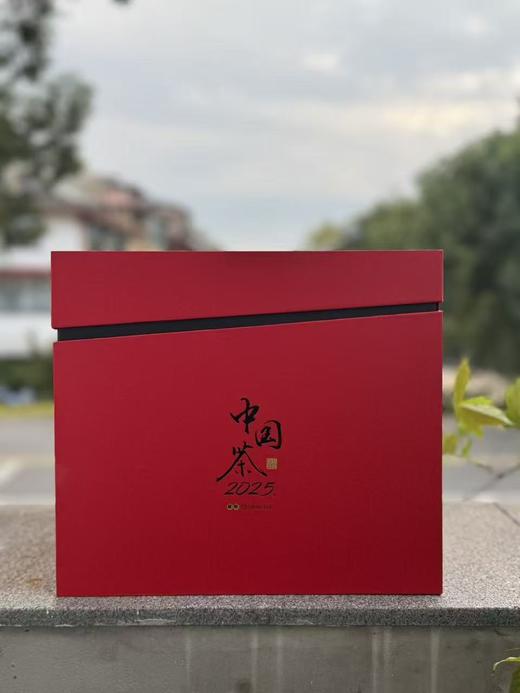 祝老师五大名丛收藏装 540g 商品图2