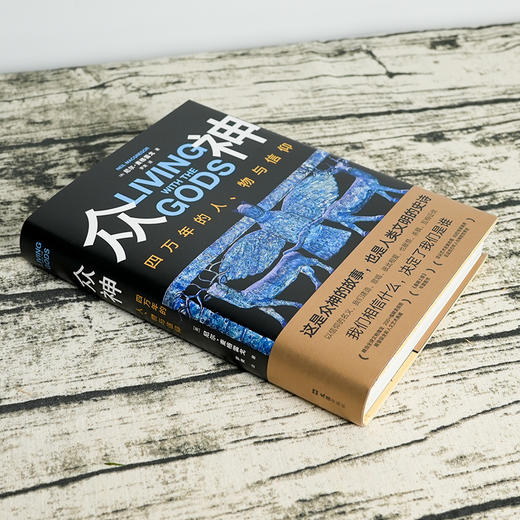 【英】尼尔·麦格雷戈《众神：四万年的人、物与信仰》 商品图2